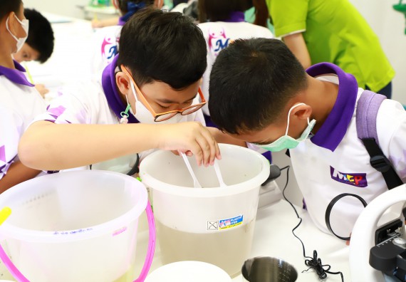 ภาพกิจกรรม  โรงเรียนอนุบาลกำแพงเพชร ร่วมกับคณะวิทยาศาสตร์และเทคโนโลยี จัดโครงการ Science Camp สำหรับนักเรียนห้องเรียนพิเศษ (MEP) ระดับชั้นประถมศึกษาปีที่ 1-6