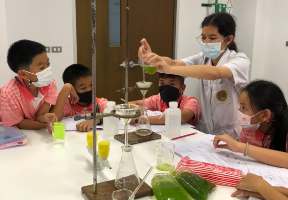 ภาพกิจกรรม โครงการฝึกทักษะเพื่อพัฒนาอัจฉริยะภาพวิทยาศาสตร์ กิจกรรมค่ายวิทยาศาสตร์รุ่นจิ๋ว ห้องเรียนพิเศษคณิตศาสตร์ และวิทยาศาสตร์ (MSP)