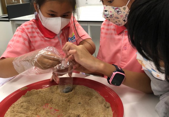 ภาพกิจกรรม โครงการฝึกทักษะเพื่อพัฒนาอัจฉริยะภาพวิทยาศาสตร์ กิจกรรมค่ายวิทยาศาสตร์รุ่นจิ๋ว ห้องเรียนพิเศษคณิตศาสตร์ และวิทยาศาสตร์ (MSP)