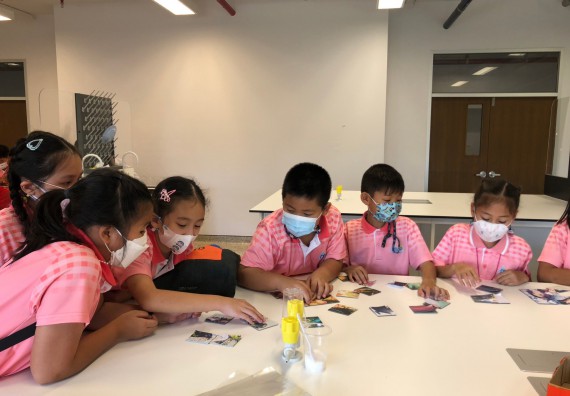 ภาพกิจกรรม โครงการฝึกทักษะเพื่อพัฒนาอัจฉริยะภาพวิทยาศาสตร์ กิจกรรมค่ายวิทยาศาสตร์รุ่นจิ๋ว ห้องเรียนพิเศษคณิตศาสตร์ และวิทยาศาสตร์ (MSP)