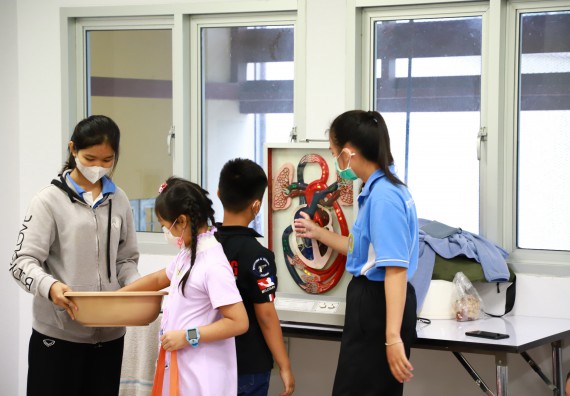 ภาพกิจกรรม โครงการฝึกทักษะเพื่อพัฒนาอัจฉริยะภาพวิทยาศาสตร์ กิจกรรมค่ายวิทยาศาสตร์รุ่นจิ๋ว ห้องเรียนพิเศษคณิตศาสตร์ และวิทยาศาสตร์ (MSP)