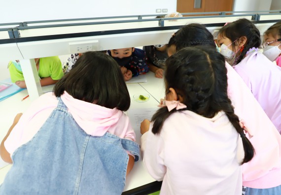 ภาพกิจกรรม โครงการฝึกทักษะเพื่อพัฒนาอัจฉริยะภาพวิทยาศาสตร์ กิจกรรมค่ายวิทยาศาสตร์รุ่นจิ๋ว ห้องเรียนพิเศษคณิตศาสตร์ และวิทยาศาสตร์ (MSP)