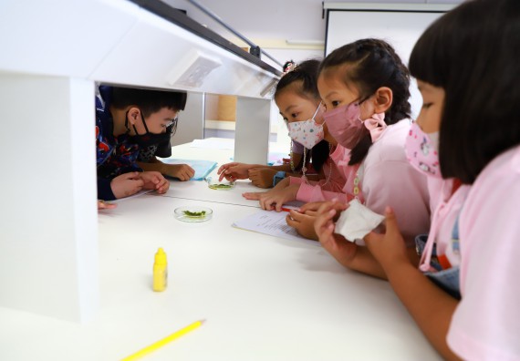 ภาพกิจกรรม โครงการฝึกทักษะเพื่อพัฒนาอัจฉริยะภาพวิทยาศาสตร์ กิจกรรมค่ายวิทยาศาสตร์รุ่นจิ๋ว ห้องเรียนพิเศษคณิตศาสตร์ และวิทยาศาสตร์ (MSP)