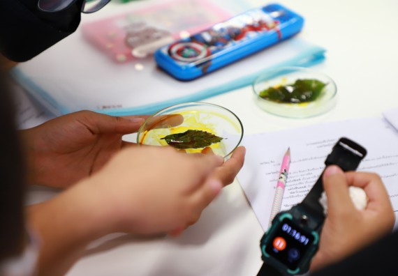 ภาพกิจกรรม โครงการฝึกทักษะเพื่อพัฒนาอัจฉริยะภาพวิทยาศาสตร์ กิจกรรมค่ายวิทยาศาสตร์รุ่นจิ๋ว ห้องเรียนพิเศษคณิตศาสตร์ และวิทยาศาสตร์ (MSP)