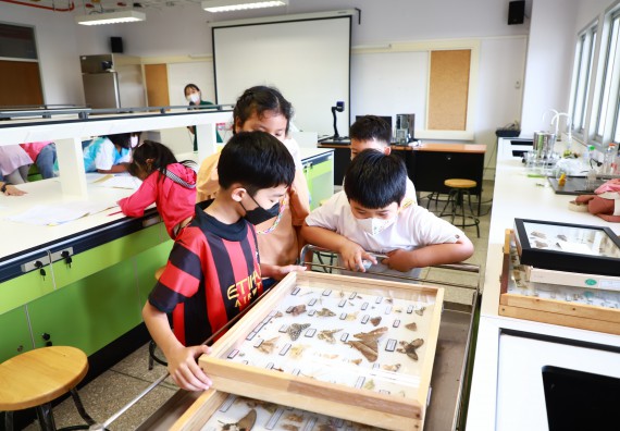 ภาพกิจกรรม โครงการฝึกทักษะเพื่อพัฒนาอัจฉริยะภาพวิทยาศาสตร์ กิจกรรมค่ายวิทยาศาสตร์รุ่นจิ๋ว ห้องเรียนพิเศษคณิตศาสตร์ และวิทยาศาสตร์ (MSP)