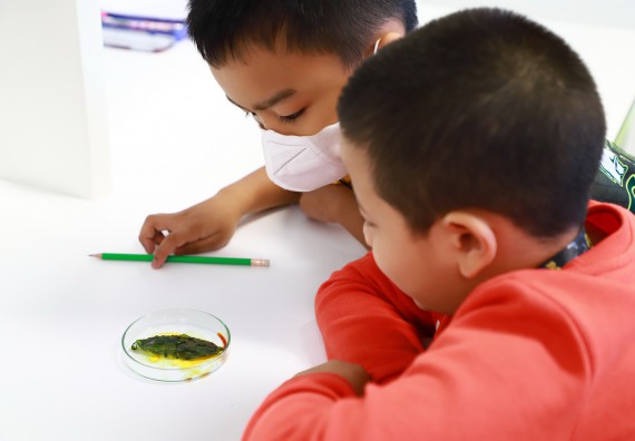 ภาพกิจกรรม โครงการฝึกทักษะเพื่อพัฒนาอัจฉริยะภาพวิทยาศาสตร์ กิจกรรมค่ายวิทยาศาสตร์รุ่นจิ๋ว ห้องเรียนพิเศษคณิตศาสตร์ และวิทยาศาสตร์ (MSP)