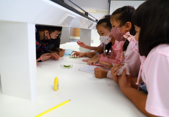 ภาพกิจกรรม โครงการฝึกทักษะเพื่อพัฒนาอัจฉริยะภาพวิทยาศาสตร์ กิจกรรมค่ายวิทยาศาสตร์รุ่นจิ๋ว ห้องเรียนพิเศษคณิตศาสตร์ และวิทยาศาสตร์ (MSP)