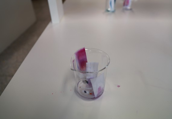 ภาพกิจกรรม โครงการฝึกทักษะเพื่อพัฒนาอัจฉริยะภาพวิทยาศาสตร์ กิจกรรมค่ายวิทยาศาสตร์รุ่นจิ๋ว ห้องเรียนพิเศษคณิตศาสตร์ และวิทยาศาสตร์ (MSP)