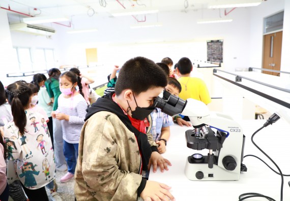 ภาพกิจกรรม โครงการฝึกทักษะเพื่อพัฒนาอัจฉริยะภาพวิทยาศาสตร์ กิจกรรมค่ายวิทยาศาสตร์รุ่นจิ๋ว ห้องเรียนพิเศษคณิตศาสตร์ และวิทยาศาสตร์ (MSP)