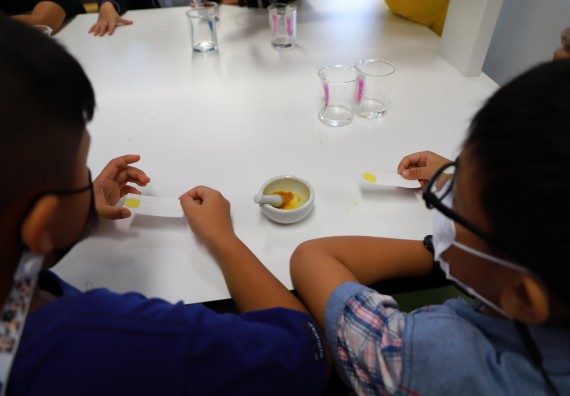 ภาพกิจกรรม โครงการฝึกทักษะเพื่อพัฒนาอัจฉริยะภาพวิทยาศาสตร์ กิจกรรมค่ายวิทยาศาสตร์รุ่นจิ๋ว ห้องเรียนพิเศษคณิตศาสตร์ และวิทยาศาสตร์ (MSP)