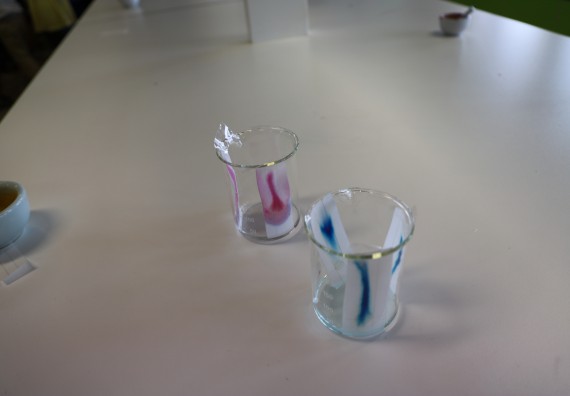 ภาพกิจกรรม โครงการฝึกทักษะเพื่อพัฒนาอัจฉริยะภาพวิทยาศาสตร์ กิจกรรมค่ายวิทยาศาสตร์รุ่นจิ๋ว ห้องเรียนพิเศษคณิตศาสตร์ และวิทยาศาสตร์ (MSP)