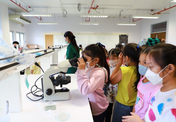 ภาพกิจกรรม โครงการฝึกทักษะเพื่อพัฒนาอัจฉริยะภาพวิทยาศาสตร์ กิจกรรมค่ายวิทยาศาสตร์รุ่นจิ๋ว ห้องเรียนพิเศษคณิตศาสตร์ และวิทยาศาสตร์ (MSP)