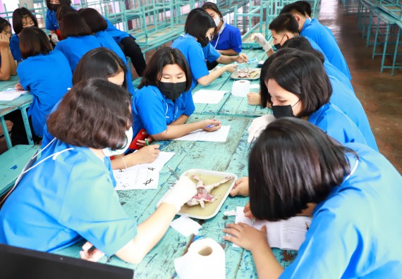 ภาพกิจกรรม  คณะวิทยาศาสตร์และเทคโนโลยี จัดกิจกรรมค่ายวิทยาศาสตร์เทคโนโลยีและดาราศาสตร์  โรงเรียนราชประชานุเคราะห์ 55