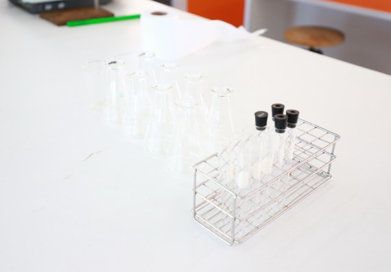 ภาพกิจกรรม  คณะวิทยาศาสตร์และเทคโนโลยี จัดกิจกรรมค่ายวิทยาศาสตร์สัญจร ปีการศึกษา 2565  โรงเรียนคลองขลุงราษฎร์รังสรรค์