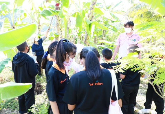 ภาพกิจกรรม  โปรแกรมวิชาเกษตรศาสตร์ จัดอบรมเรื่อง กล้วย กล้วย มหัศจรรย์พันธุ์ไม้แห่งมนุษยชาติ