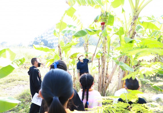 ภาพกิจกรรม  โปรแกรมวิชาเกษตรศาสตร์ จัดอบรมเรื่อง กล้วย กล้วย มหัศจรรย์พันธุ์ไม้แห่งมนุษยชาติ