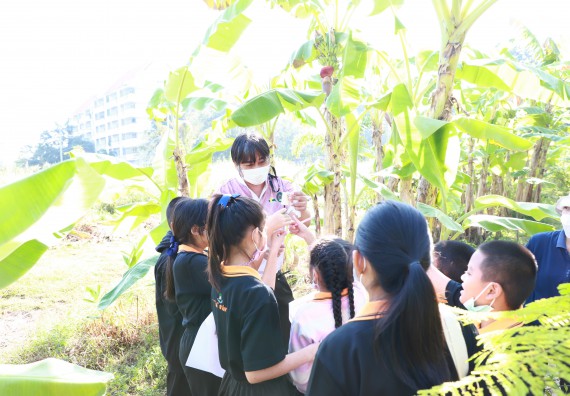 ภาพกิจกรรม  โปรแกรมวิชาเกษตรศาสตร์ จัดอบรมเรื่อง กล้วย กล้วย มหัศจรรย์พันธุ์ไม้แห่งมนุษยชาติ