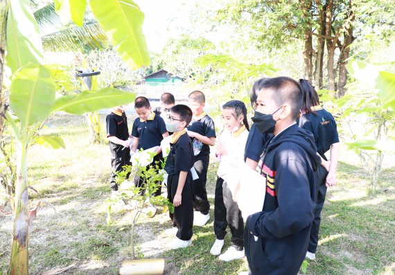 ภาพกิจกรรม  โปรแกรมวิชาเกษตรศาสตร์ จัดอบรมเรื่อง กล้วย กล้วย มหัศจรรย์พันธุ์ไม้แห่งมนุษยชาติ