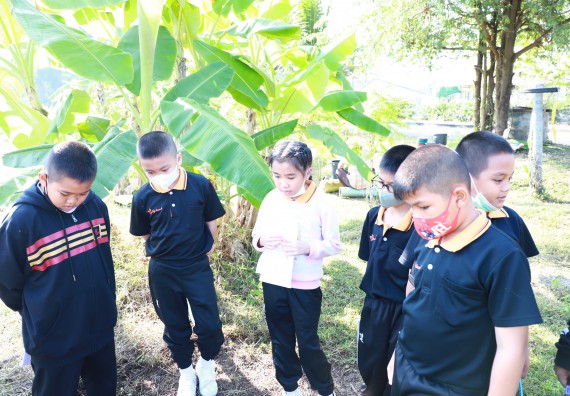 ภาพกิจกรรม  โปรแกรมวิชาเกษตรศาสตร์ จัดอบรมเรื่อง กล้วย กล้วย มหัศจรรย์พันธุ์ไม้แห่งมนุษยชาติ