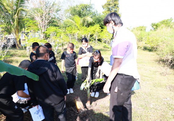 ภาพกิจกรรม  โปรแกรมวิชาเกษตรศาสตร์ จัดอบรมเรื่อง กล้วย กล้วย มหัศจรรย์พันธุ์ไม้แห่งมนุษยชาติ