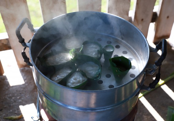 ภาพกิจกรรม  โปรแกรมวิชาเกษตรศาสตร์ จัดอบรมเรื่อง กล้วย กล้วย มหัศจรรย์พันธุ์ไม้แห่งมนุษยชาติ