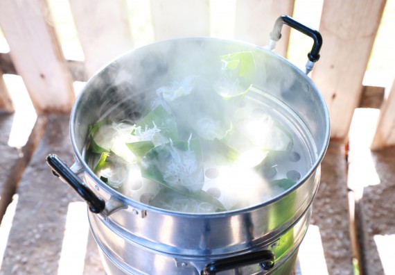 ภาพกิจกรรม  โปรแกรมวิชาเกษตรศาสตร์ จัดอบรมเรื่อง กล้วย กล้วย มหัศจรรย์พันธุ์ไม้แห่งมนุษยชาติ