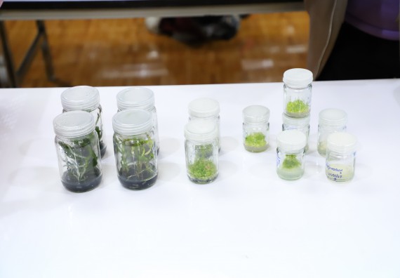 ภาพกิจกรรม   คณะวิทยาศาสตร์และเทคโนโลยี จัดกิจกรรมค่ายวิทยาศาสตร์สัญจร ปีการศึกษา 2565  โรงเรียนวชิรปราการวิทยาคม