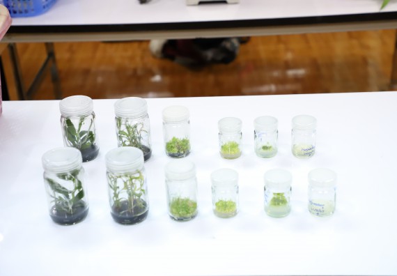 ภาพกิจกรรม   คณะวิทยาศาสตร์และเทคโนโลยี จัดกิจกรรมค่ายวิทยาศาสตร์สัญจร ปีการศึกษา 2565  โรงเรียนวชิรปราการวิทยาคม