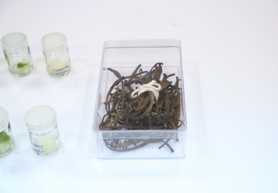 ภาพกิจกรรม   คณะวิทยาศาสตร์และเทคโนโลยี จัดกิจกรรมค่ายวิทยาศาสตร์สัญจร ปีการศึกษา 2565  โรงเรียนวชิรปราการวิทยาคม