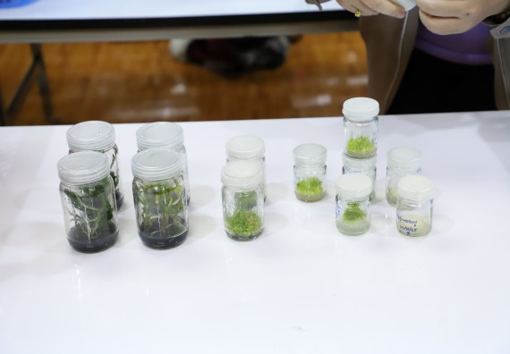 ภาพกิจกรรม   คณะวิทยาศาสตร์และเทคโนโลยี จัดกิจกรรมค่ายวิทยาศาสตร์สัญจร ปีการศึกษา 2565  โรงเรียนวชิรปราการวิทยาคม