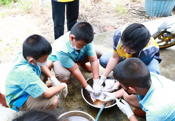ภาพกิจกรรม  คณะวิทยาศาสตร์และเทคโนโลยี จัดกิจกรรมถ่ายทอดองค์ความรู้กระดาษกันนาจากกาบกล้วยไข่เพื่อใช้ในงานบรรจุภัณฑ์