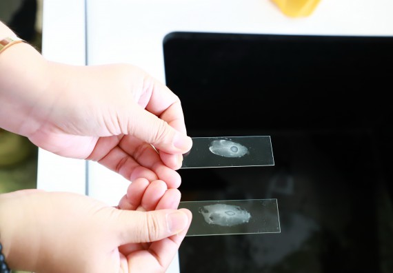 ภาพกิจกรรม  คณะวิทยาศาสตร์และเทคโนโลยี จัดกิจกรรมสร้างเสริมทักษะกระบวนการทางวิทยาศาสตร์สู่มาตรฐานสากล ให้กับนักเรียนระดับชั้นมัธยมศึกษาปีที่ 5 โรงเรียนตากพิทยาคม