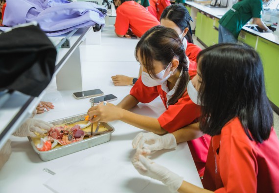 ภาพกิจกรรม   คณะวิทยาศาสตร์และเทคโนโลยี มหาวิทยาลัยราชภัฏกำแพงเพชร ร่วมกับโรงเรียนกำแพงเพชรพิทยาคม จัดโครงการค่ายวิทยาศาสตร์นักเรียนห้องเรียนพิเศษ