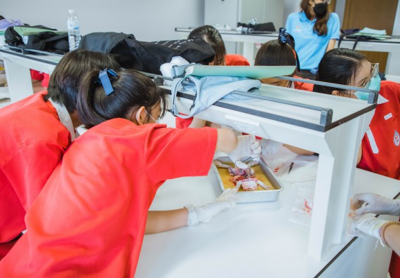 ภาพกิจกรรม   คณะวิทยาศาสตร์และเทคโนโลยี มหาวิทยาลัยราชภัฏกำแพงเพชร ร่วมกับโรงเรียนกำแพงเพชรพิทยาคม จัดโครงการค่ายวิทยาศาสตร์นักเรียนห้องเรียนพิเศษ