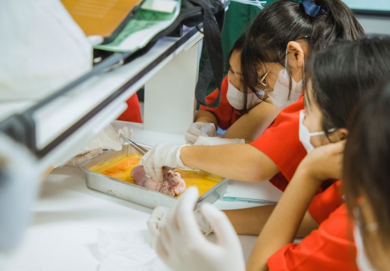 ภาพกิจกรรม   คณะวิทยาศาสตร์และเทคโนโลยี มหาวิทยาลัยราชภัฏกำแพงเพชร ร่วมกับโรงเรียนกำแพงเพชรพิทยาคม จัดโครงการค่ายวิทยาศาสตร์นักเรียนห้องเรียนพิเศษ