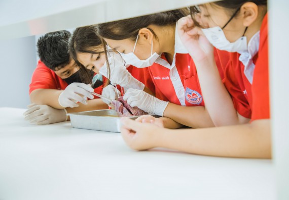 ภาพกิจกรรม   คณะวิทยาศาสตร์และเทคโนโลยี มหาวิทยาลัยราชภัฏกำแพงเพชร ร่วมกับโรงเรียนกำแพงเพชรพิทยาคม จัดโครงการค่ายวิทยาศาสตร์นักเรียนห้องเรียนพิเศษ