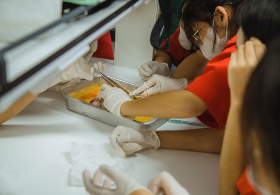 ภาพกิจกรรม   คณะวิทยาศาสตร์และเทคโนโลยี มหาวิทยาลัยราชภัฏกำแพงเพชร ร่วมกับโรงเรียนกำแพงเพชรพิทยาคม จัดโครงการค่ายวิทยาศาสตร์นักเรียนห้องเรียนพิเศษ