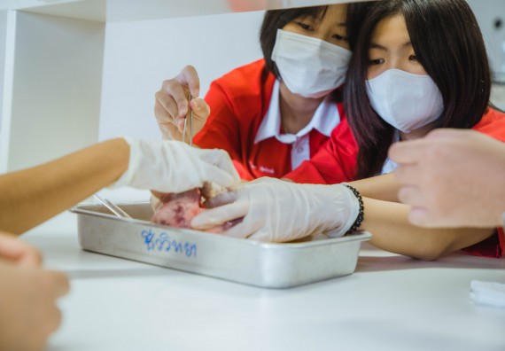 ภาพกิจกรรม   คณะวิทยาศาสตร์และเทคโนโลยี มหาวิทยาลัยราชภัฏกำแพงเพชร ร่วมกับโรงเรียนกำแพงเพชรพิทยาคม จัดโครงการค่ายวิทยาศาสตร์นักเรียนห้องเรียนพิเศษ