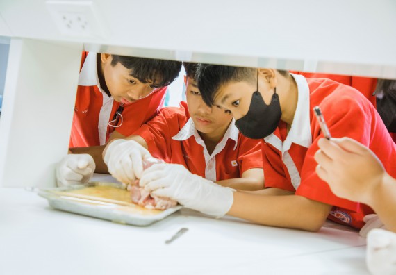 ภาพกิจกรรม   คณะวิทยาศาสตร์และเทคโนโลยี มหาวิทยาลัยราชภัฏกำแพงเพชร ร่วมกับโรงเรียนกำแพงเพชรพิทยาคม จัดโครงการค่ายวิทยาศาสตร์นักเรียนห้องเรียนพิเศษ