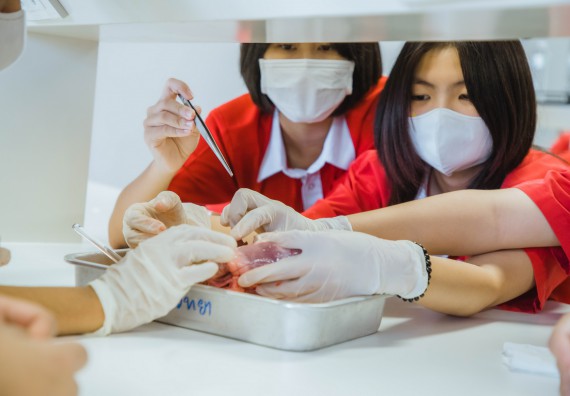 ภาพกิจกรรม   คณะวิทยาศาสตร์และเทคโนโลยี มหาวิทยาลัยราชภัฏกำแพงเพชร ร่วมกับโรงเรียนกำแพงเพชรพิทยาคม จัดโครงการค่ายวิทยาศาสตร์นักเรียนห้องเรียนพิเศษ