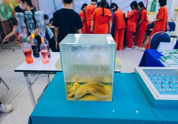 ภาพกิจกรรม  คณะวิทยาศาสตร์และเทคโนโลยี จัดนิทรรศการและกิจกรรมด้านวิทยาศาสตร์ เทคโนโลยีและนวัตกรรม (วทน.)  งานสัปดาห์วิทยาศาสตร์แห่งชาติ ส่วนภูมิภาค ประจำปี 2566