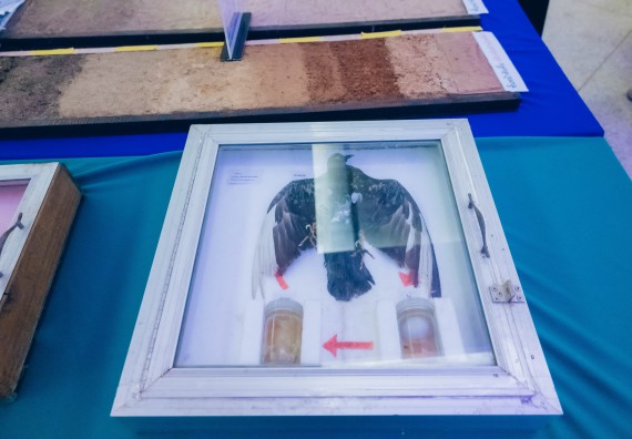 ภาพกิจกรรม  คณะวิทยาศาสตร์และเทคโนโลยี จัดนิทรรศการและกิจกรรมด้านวิทยาศาสตร์ เทคโนโลยีและนวัตกรรม (วทน.)  งานสัปดาห์วิทยาศาสตร์แห่งชาติ ส่วนภูมิภาค ประจำปี 2566