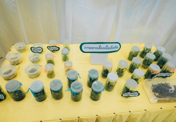 ภาพกิจกรรม  คณะวิทยาศาสตร์และเทคโนโลยี จัดนิทรรศการและกิจกรรมด้านวิทยาศาสตร์ เทคโนโลยีและนวัตกรรม (วทน.)  งานสัปดาห์วิทยาศาสตร์แห่งชาติ ส่วนภูมิภาค ประจำปี 2566