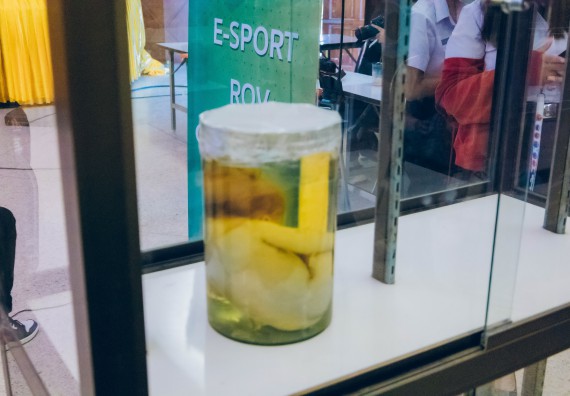 ภาพกิจกรรม  คณะวิทยาศาสตร์และเทคโนโลยี จัดนิทรรศการและกิจกรรมด้านวิทยาศาสตร์ เทคโนโลยีและนวัตกรรม (วทน.)  งานสัปดาห์วิทยาศาสตร์แห่งชาติ ส่วนภูมิภาค ประจำปี 2566