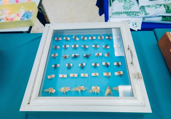 ภาพกิจกรรม  คณะวิทยาศาสตร์และเทคโนโลยี จัดนิทรรศการและกิจกรรมด้านวิทยาศาสตร์ เทคโนโลยีและนวัตกรรม (วทน.)  งานสัปดาห์วิทยาศาสตร์แห่งชาติ ส่วนภูมิภาค ประจำปี 2566