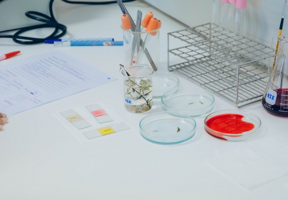 ภาพกิจกรรม  คณะวิทยาศาสตร์และเทคโนโลยี จัดการแข่งขันทักษะทางวิทยาศาสตร์และเทคโนโลยี ระดับมัธยมศึกษาตอนต้น มัธยมศึกษาตอนปลาย งานสัปดาห์วิทยาศาสตร์แห่งชาติ ส่วนภูมิภาค ประจำปี 2566