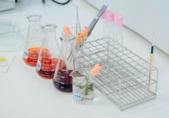 ภาพกิจกรรม  คณะวิทยาศาสตร์และเทคโนโลยี จัดการแข่งขันทักษะทางวิทยาศาสตร์และเทคโนโลยี ระดับมัธยมศึกษาตอนต้น มัธยมศึกษาตอนปลาย งานสัปดาห์วิทยาศาสตร์แห่งชาติ ส่วนภูมิภาค ประจำปี 2566