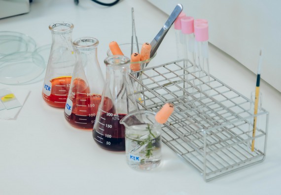 ภาพกิจกรรม  คณะวิทยาศาสตร์และเทคโนโลยี จัดการแข่งขันทักษะทางวิทยาศาสตร์และเทคโนโลยี ระดับมัธยมศึกษาตอนต้น มัธยมศึกษาตอนปลาย งานสัปดาห์วิทยาศาสตร์แห่งชาติ ส่วนภูมิภาค ประจำปี 2566