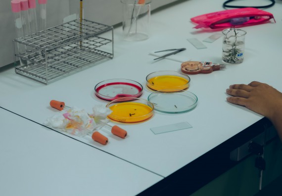 ภาพกิจกรรม  คณะวิทยาศาสตร์และเทคโนโลยี จัดการแข่งขันทักษะทางวิทยาศาสตร์และเทคโนโลยี ระดับมัธยมศึกษาตอนต้น มัธยมศึกษาตอนปลาย งานสัปดาห์วิทยาศาสตร์แห่งชาติ ส่วนภูมิภาค ประจำปี 2566