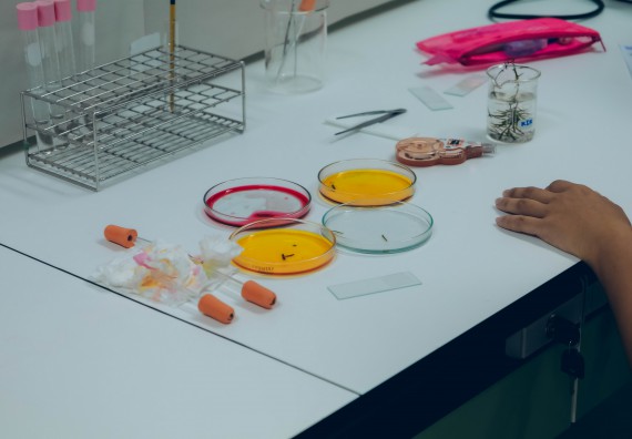 ภาพกิจกรรม  คณะวิทยาศาสตร์และเทคโนโลยี จัดการแข่งขันทักษะทางวิทยาศาสตร์และเทคโนโลยี ระดับมัธยมศึกษาตอนต้น มัธยมศึกษาตอนปลาย งานสัปดาห์วิทยาศาสตร์แห่งชาติ ส่วนภูมิภาค ประจำปี 2566